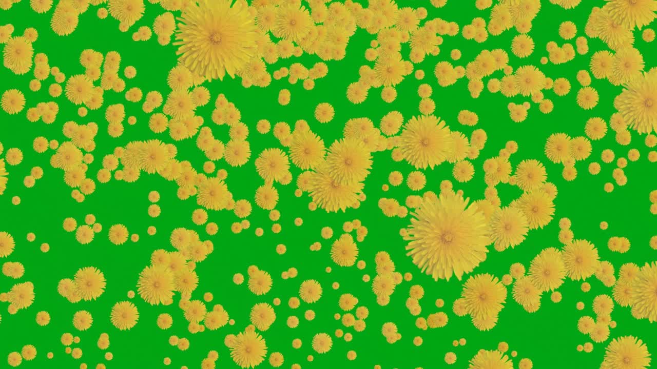 Yellow dandelions pouring down on green background