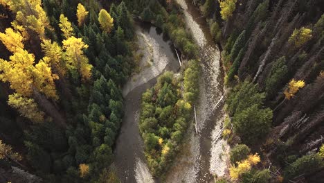 Top-down-autumn-forest-rocky-creek.-Aerial-shot