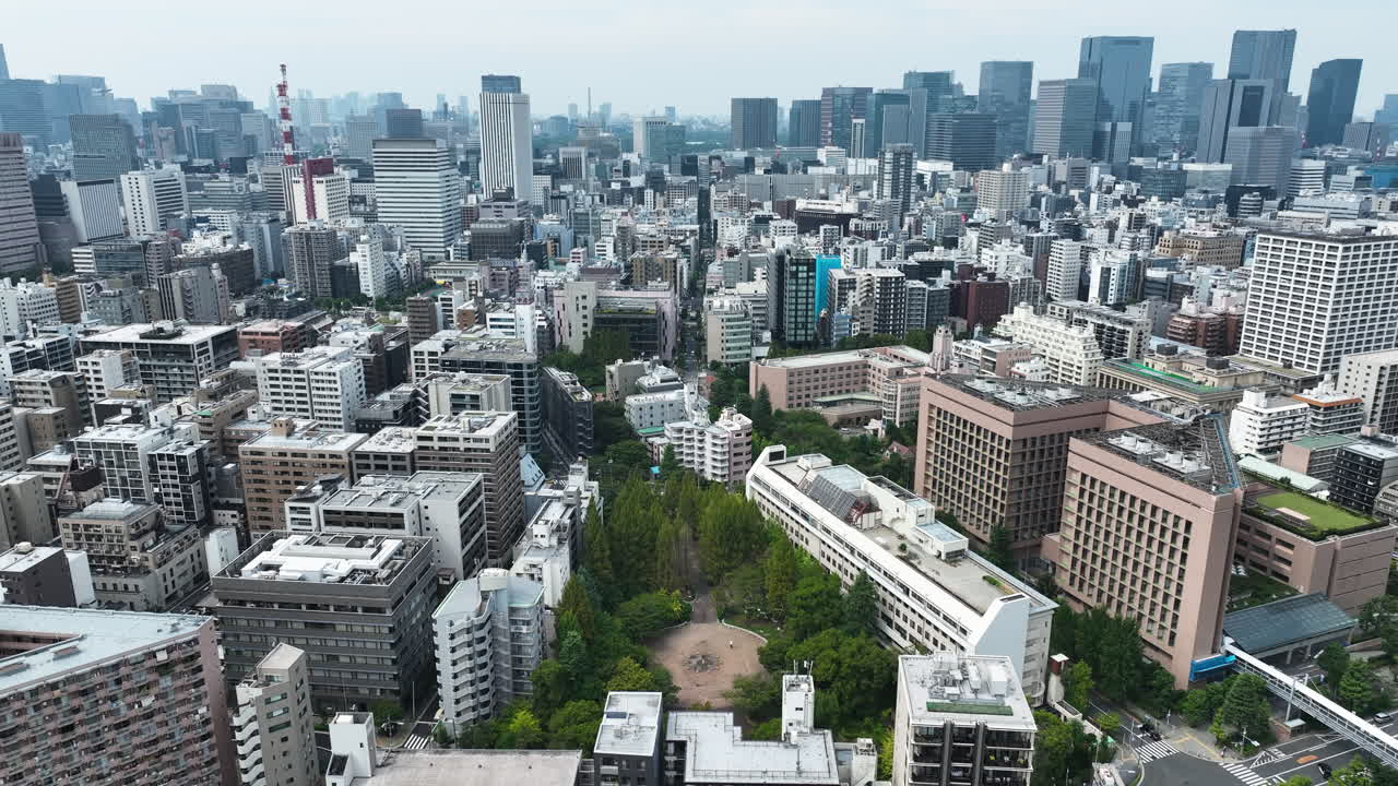 Aerial View Of Tokyo City Skyline In Daytime In Japan