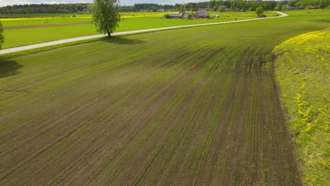 drone shot from the top of a crop field