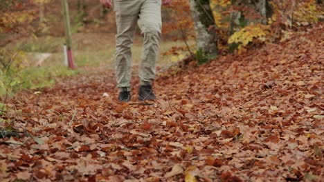 Eine-Person,-Die-In-Bodennähe-Auf-Die-Kamera-Zugeht,-Während-Sie-Auf-Herbstlich-Gefärbten-Blättern-Läuft,-Die-überall-Im-Erdgeschoss-Liegen