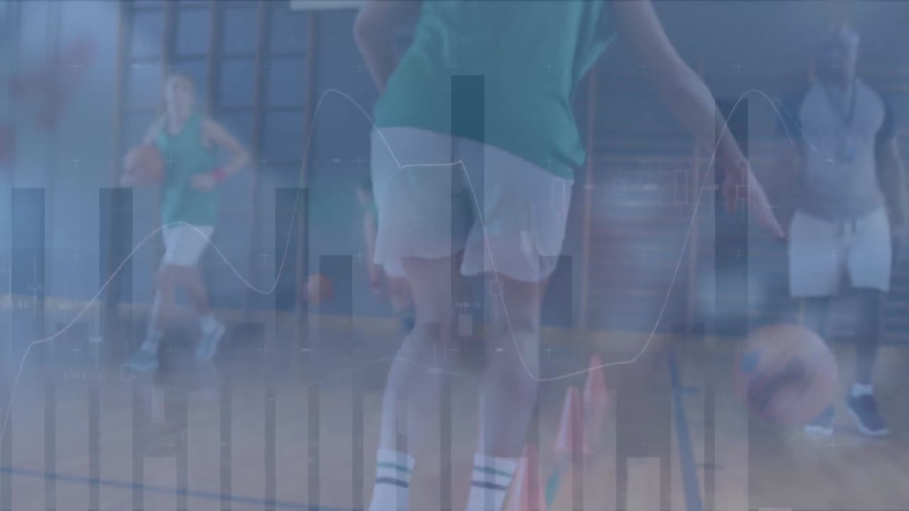 다양한 농구 선수에 대한 금융 데이터 처리 애니메이션