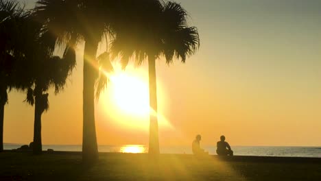 Zeitraffer-Von-Palmen-Und-Menschen-In-Strandnähe