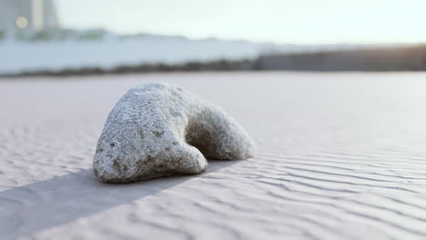 old white coral on sand beach