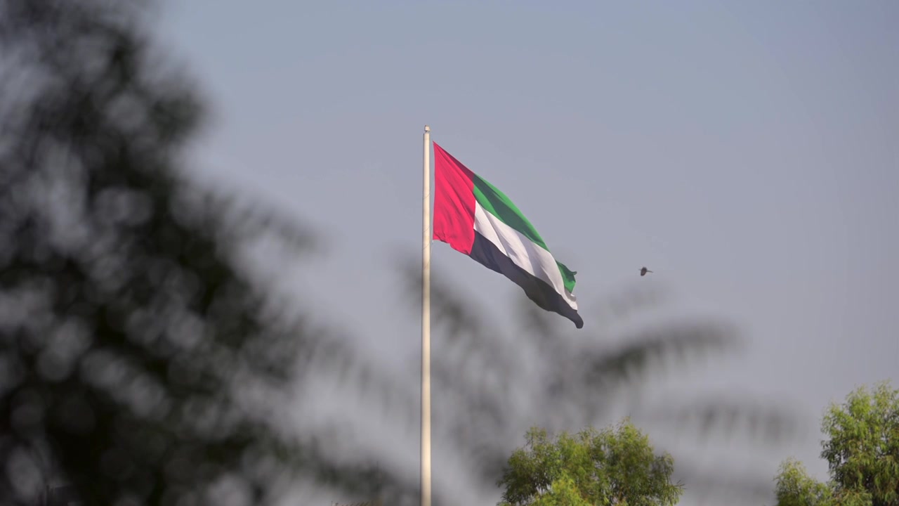 UAE flag flying above verdant greenery under a clear sky.