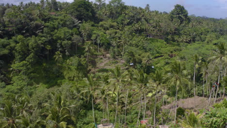 Schwebende-Drohne-über-Tegalalang-Reisterrassen-In-Ubud,-Hauptstadt-Von-Bali,-Indonesien