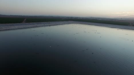 aerial view of water reservoir with birds