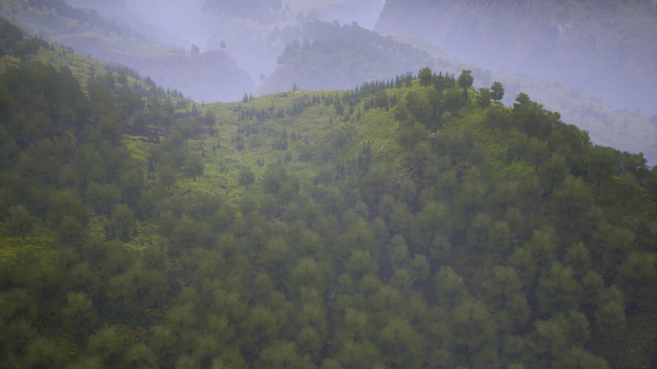 Lush green hills covered with trees and fog in a serene mountainous landscape