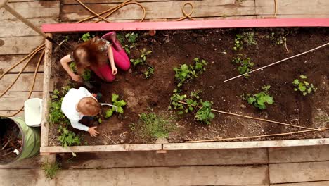 hermanos plantando en el jardín 4k