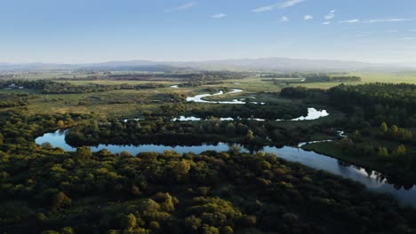 Río-Sinuoso-Czarna-Orawa-Rodeado-De-Exuberante-Vegetación-En-Polonia---Fotografía-Aérea-Con-Dron