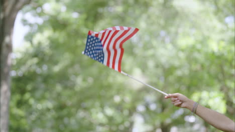 Amerikanische-Flagge-Winkt-In-Zeitlupe-Mit-Bäumen-Im-Hintergrund