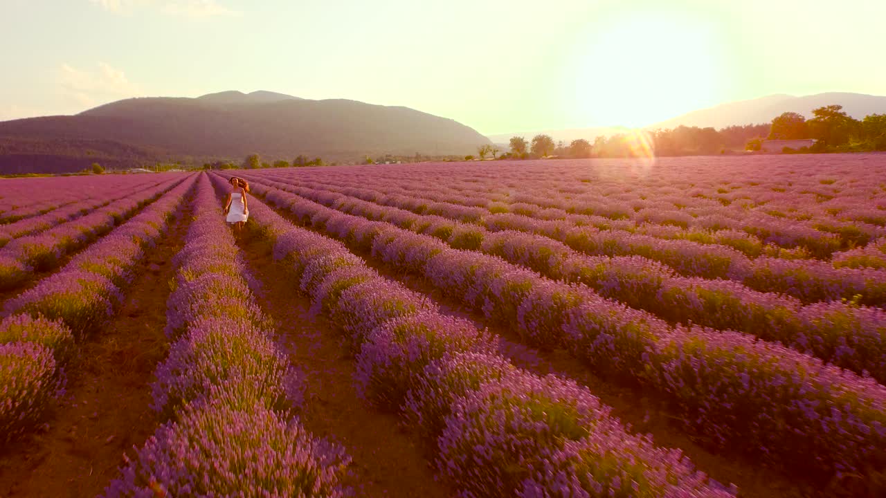mujer corriendo a través de un campo de lavanda al atardecer