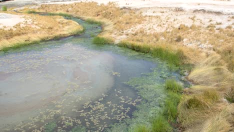 great artesian basin outback hot spring landscape, slight pan 100fps 4k