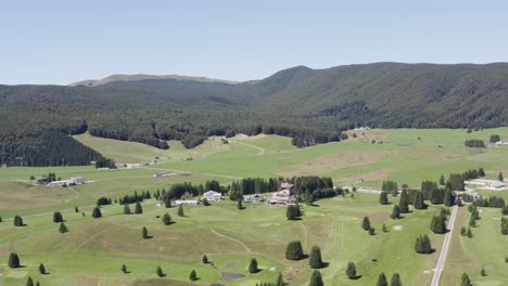 relaxing green summertime meadows, italian cansiglio forest, rural landscape