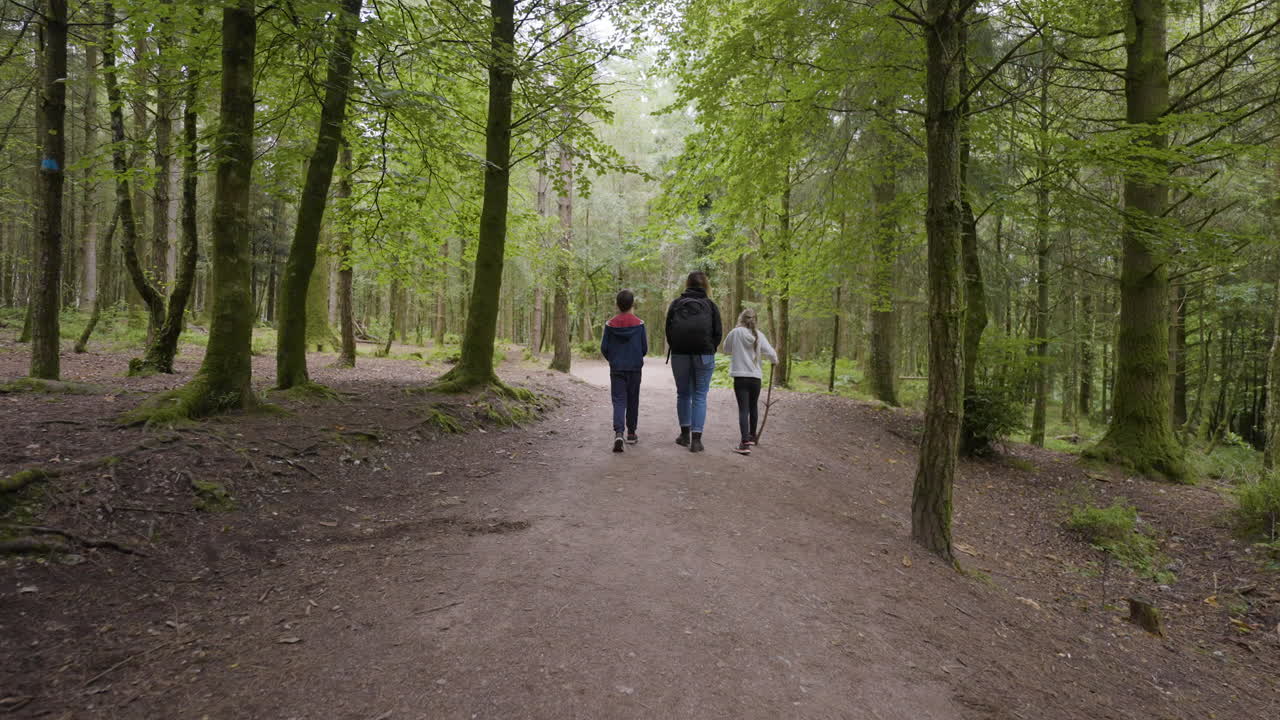 una caminata familiar en el bosque