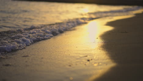 golden sunset at the beach
