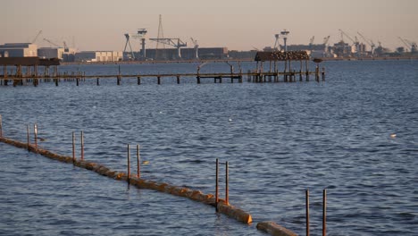 Protective-barrier-floating-on-sea-water,-pier-and-port-area-beyond