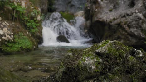 close up on rock in stream with waterfall in background