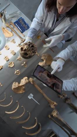 forensic anthropology research