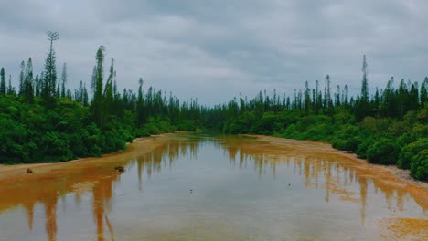 Fly-over-a-river-surrounded-by-huge-pine-trees-during-a-cloudy-day