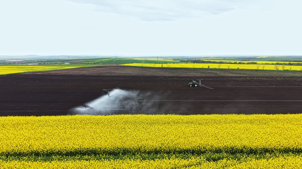 Macchinari agricoli irrorano acqua su campi di fiori gialli in una zona rurale durante il giorno, mostrando un paesaggio che si estende all'orizzonte.