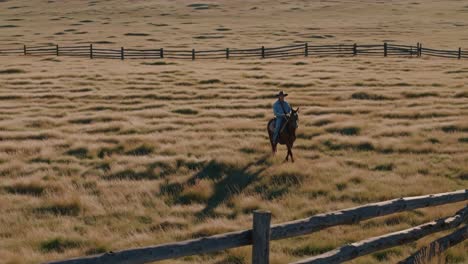 cowgirl riding horse in a field