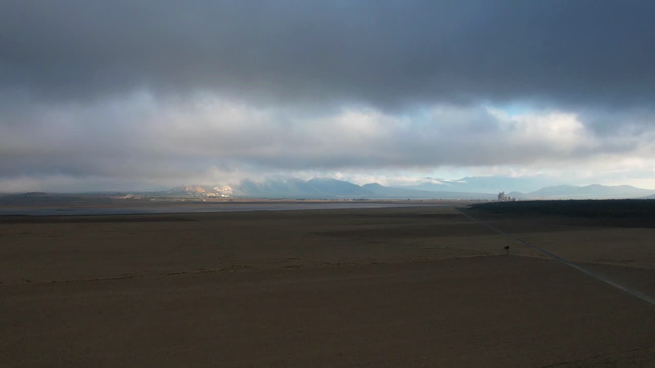 멕시코 에스타도 데 멕시코(estado de mexico) 뒤에 산이 있는 밀밭의 시간 경과