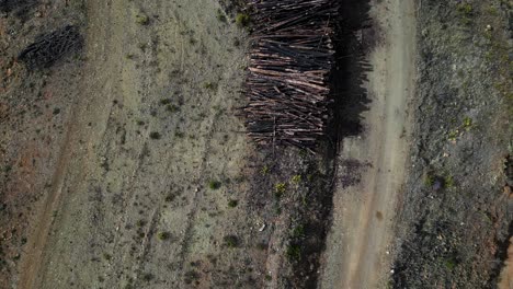 Process-of-deforestation-in-mountains-of-Spain,-aerial-top-down-view