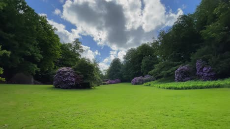 green paradise park on earth