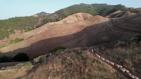 Vista-Aérea-De-Ovejas-Blancas-Corriendo-En-Una-Colina-Con-Montañas-Al-Fondo-Durante-El-Día