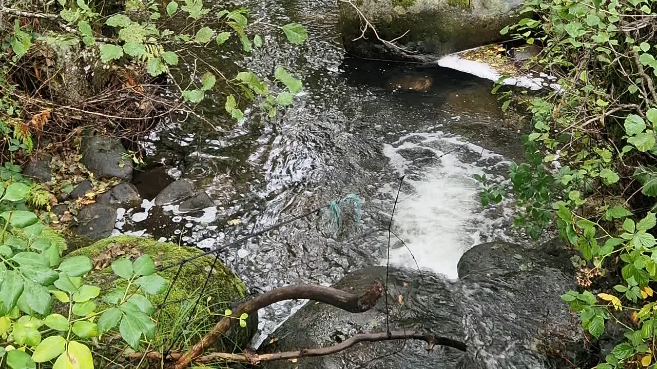 Crystal clear water flowing over mossy rocks in a small mountain stream in the Sierra de Gredos, Salamanca, Spain. Lush green forest environment