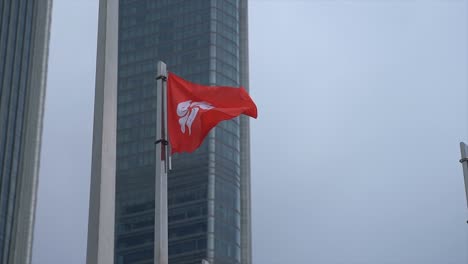 national flags