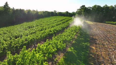 farmer sprays fruit tree orchard for bugs and insects