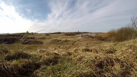 dune landscape on the dutch island texel