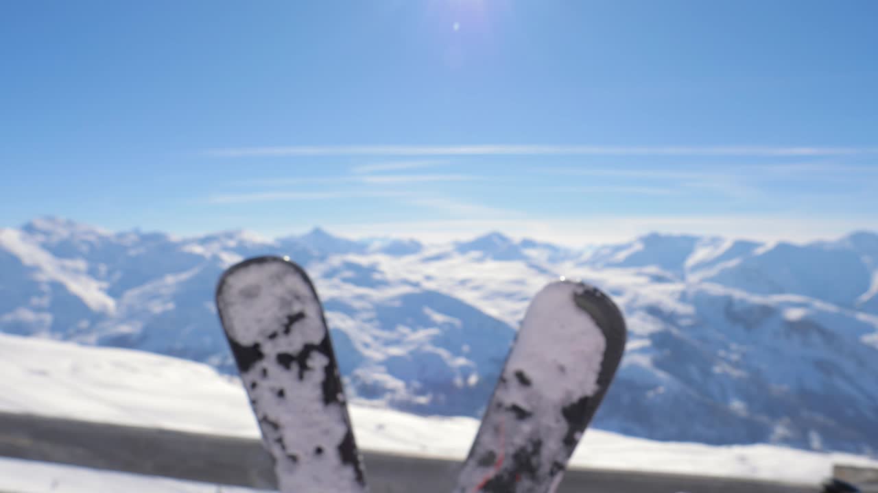 Pinecone Close-Up In Winter In The Snowy Mountains On The Background Of Skis