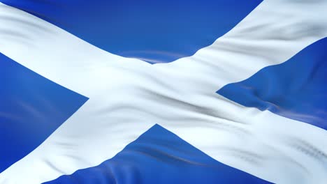 scotland flag waving in the wind with highly detailed fabric texture. seamless loop