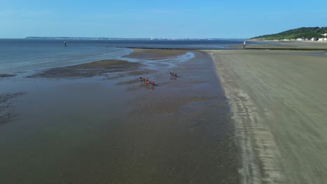drone footage of trotters racing along the wide, sunlit beach of deauville in normandy