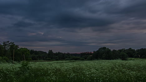 a dusk to nighttime cloudscape over a field of wildflowers and a forest - dramatic time lapse