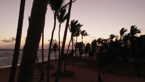 Hombre-Caminando-En-La-Playa-De-Punta-Cana-Amanecer-A-Través-De-La-Antena-De-árboles