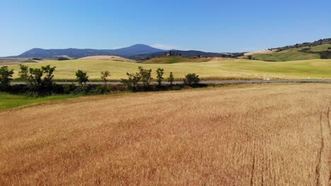 aerial shot of val d'orcia ,tuscany,italy