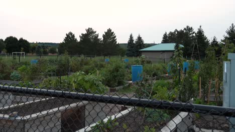 jardín comunitario en un parque suburbano - horticultura comunitaria cercada en las noches de verano