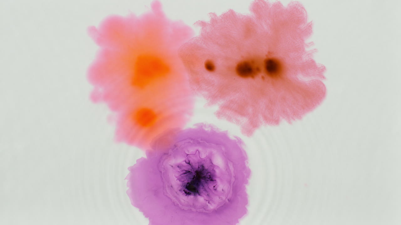disparo aéreo de gotas de pintura o tinte púrpura caídas en el agua contra un fondo blanco para crear un patrón de colores giratorios