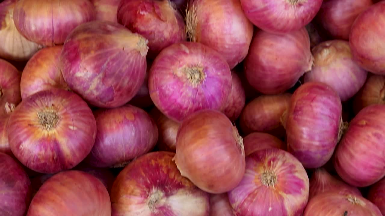 cebolla orgánica fresca de la granja de cerca desde un ángulo diferente