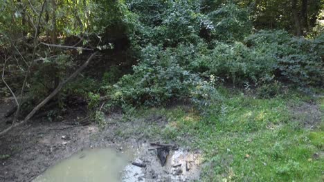 Revelador-Disparo-Brutalista-Torre-De-Agua-De-Hormigón-En-El-Reflejo-De-Un-Charco-En-Un-Bosque-Fangoso-Mosh-Pit-Agua-Verde