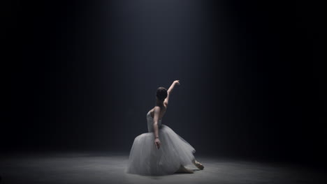 young ballerina dancing on stage. ballet dancer performing under spotlight.