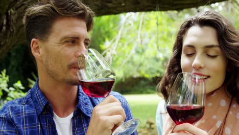 happy couple having red wine in park