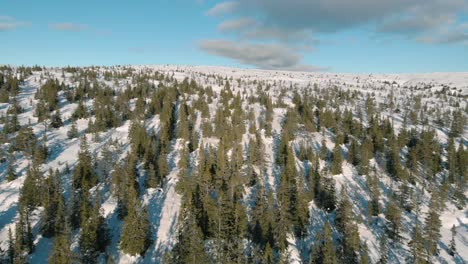 flying above a forest in the swedish mountains