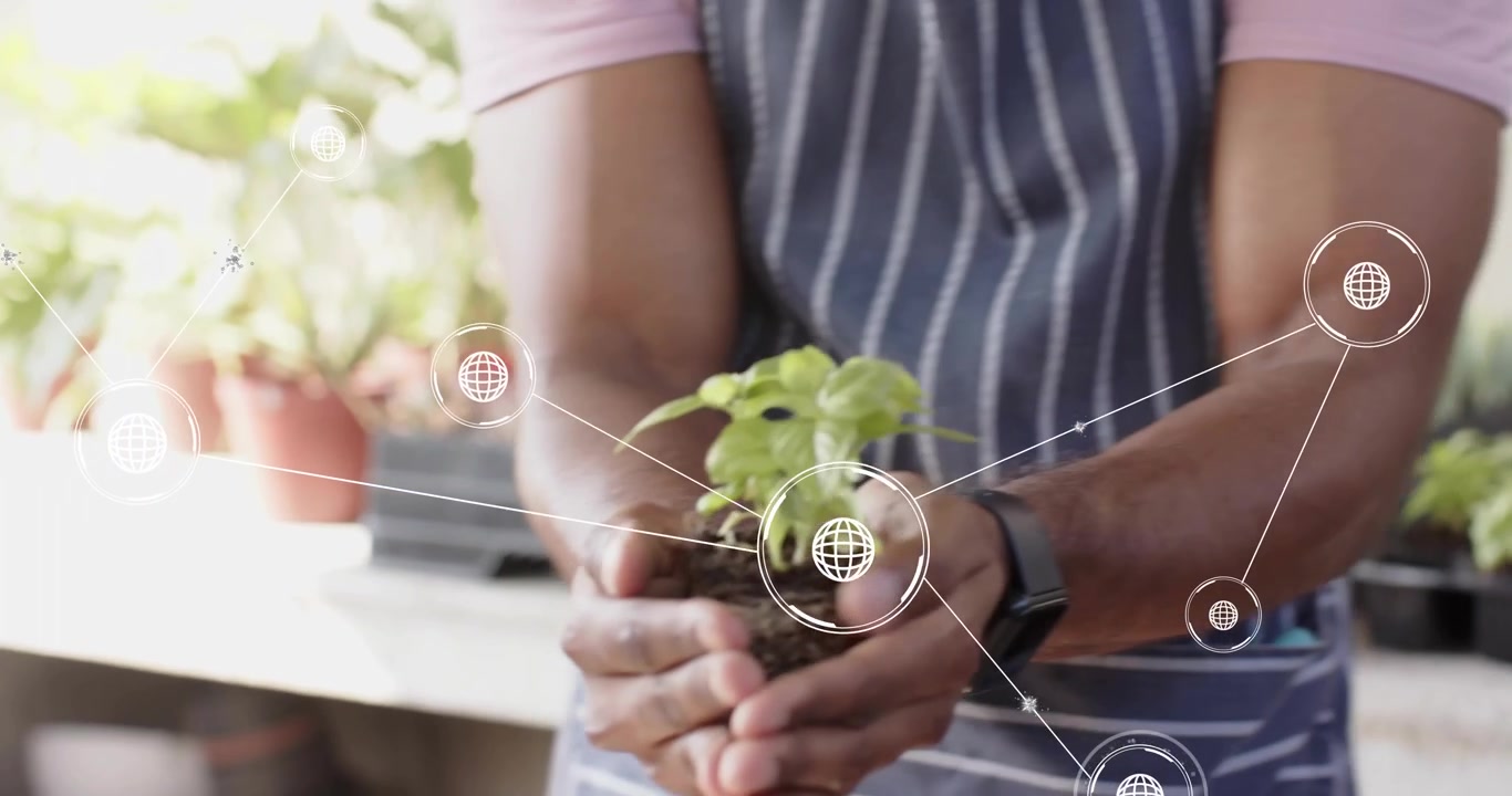 Giardiniere che sposta un vassoio di piantine, esaminando le radici con animazioni grafiche che mostrano la crescita nel giardinaggio