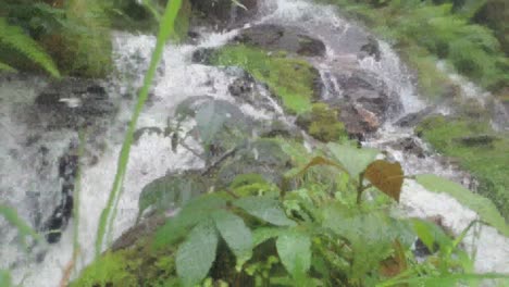 creek filmed very very close