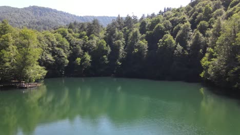 Parque-Del-Lago-Arbolado-En-El-Bosque-1